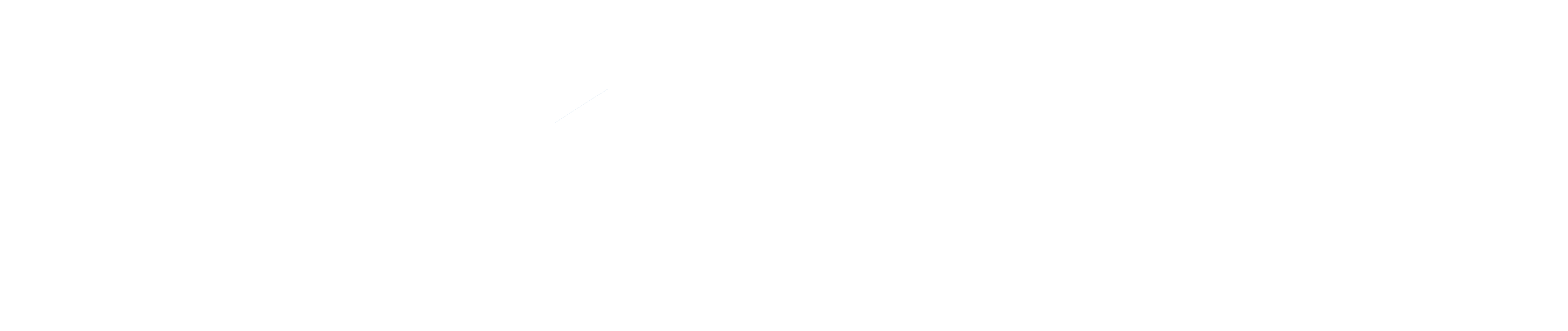 Bothhand Logo